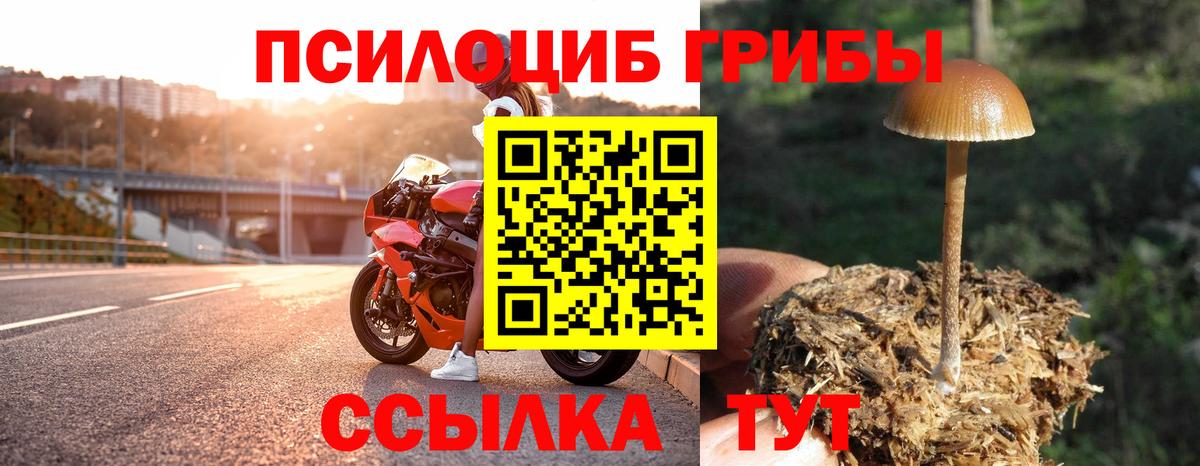 Пенза  Псилоцибиновые грибы мухоморы  Вход с VPN 