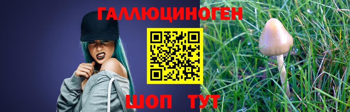 Псилоцибиновые грибы Magic Shrooms Пенза